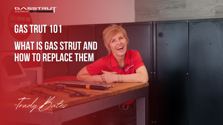 What are Gas Struts? - What are Gas Struts? -