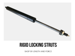 Rigid Locking Strut
